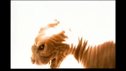 Megadeth - Insomnia 