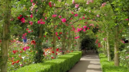 Most beautiful garden. Canada.