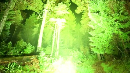 Krusseldorf - Forest Forever