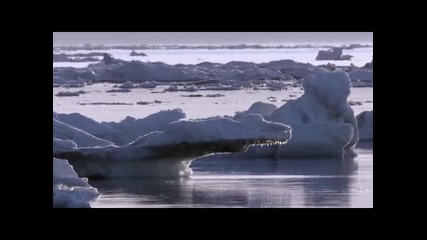 Bbc Planet Earth - Ice Worlds( Ледени светове ) 1 / 2 