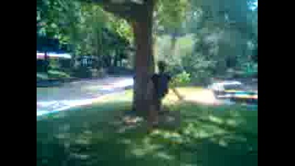 wallflip transfer :d:d:d