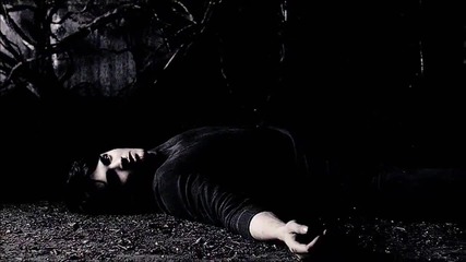 The Vampire Diaries Fan Clip
