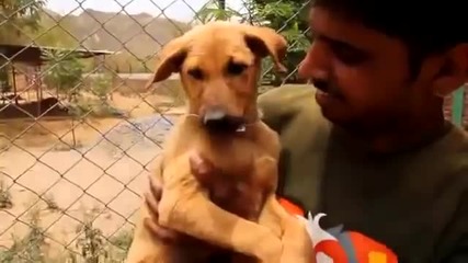 Индийци спасяват куче паднало в дълбок кладенец