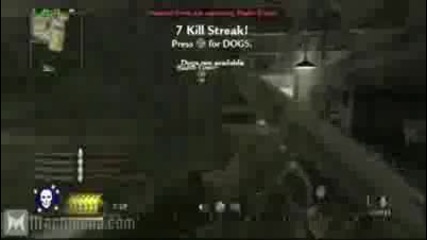 Call of Duty World at War - Flawless Victory (thompson) 