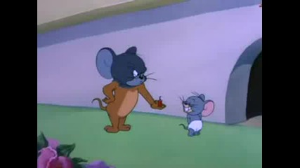 Tom И Jerry