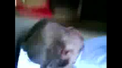 No name