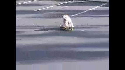 tyson skating