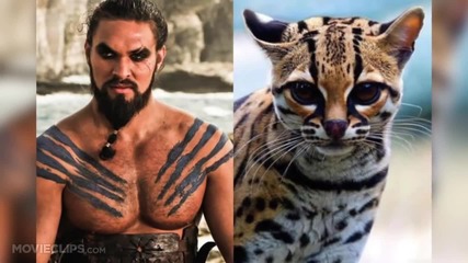 Игра на котки и тронове # Game of Thrones Cats