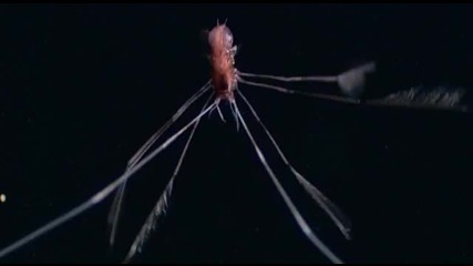 Deep Dark Ocean 
