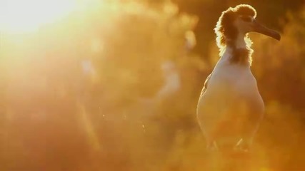 Midway film trailer - a by Chris Jordan