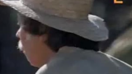El Clavel y la Rosa 1