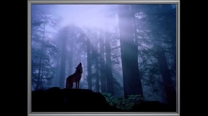 Secret Garden - Atlantia