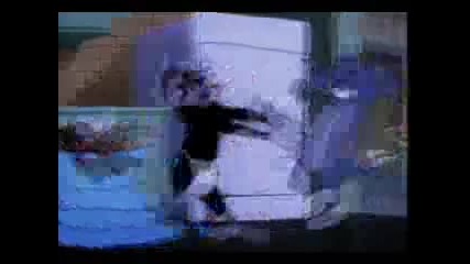 Tom Jerry 22 