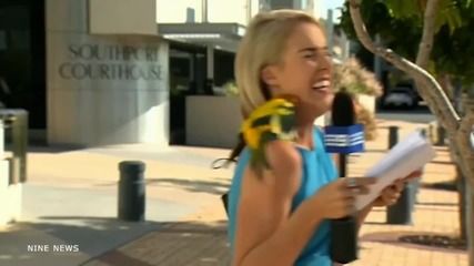 Репортерка изпадна в паника, папагал ѝ кацна на рамото