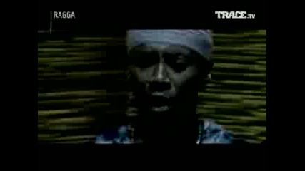 General Degree - Inna