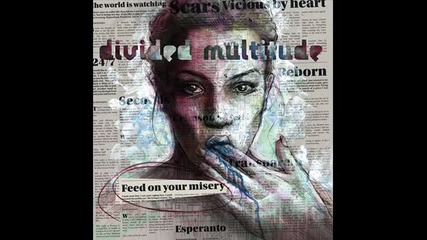 (2013) Divided Multitude - What I See