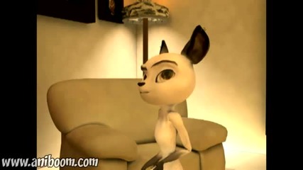 Cat Deans House - Funny Animation 