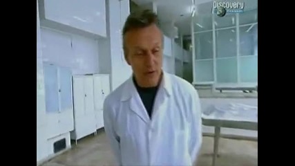 Anthony Stewart Head Vampires 4 