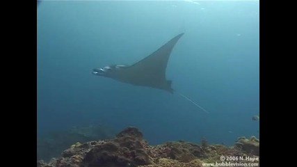 Красотата в природата - [hd]