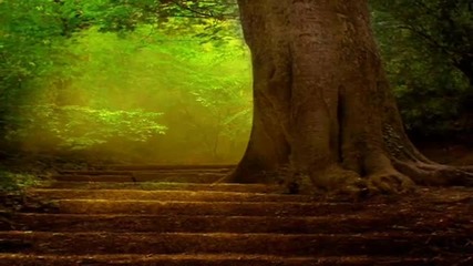 Tarja Turunen - Ave Maria - Mother Earth
