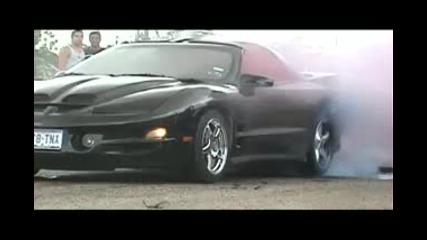 Awesome Trans - Am burnout! 