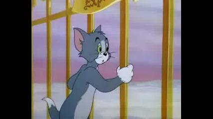 Desene Animate.tom Si Jerry.avi