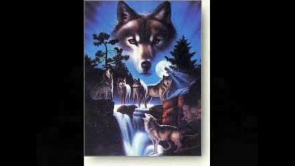 Sacred Spirits.