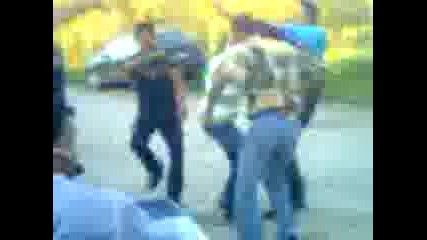 pankar dobri dql