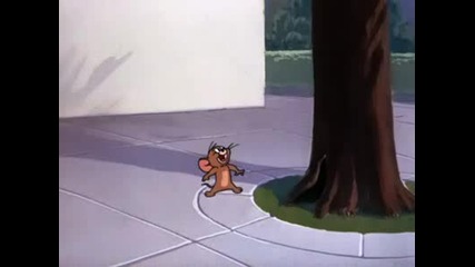 Tom And Jerry - Thats My Pup! (ВИСОКО КАЧЕСТВО)