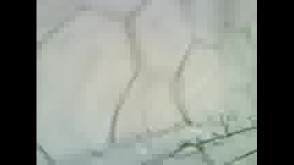 tapo cigan4e 