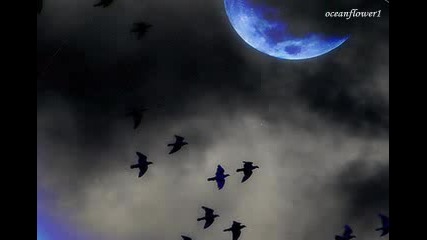 Shaun Britton - Moonlight Journey