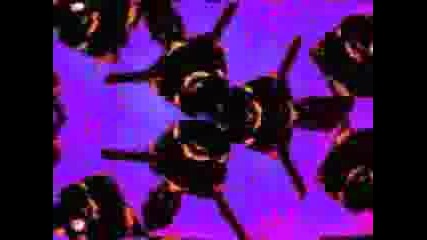Red Hot Chili Peppers - The Zephyr Song