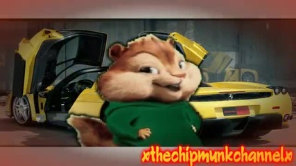 Chipmunks Mgk-wild Boy