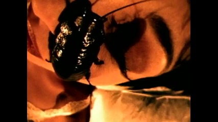 Alice Cooper - It_s Me