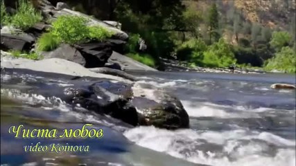 Чиста любов