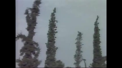 Manolis Aggelopoulos - O Arxontas Ton Tsigganon