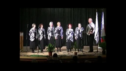 8 - ми регионален фестивал на хората с увреждане гр Велинград хор Брацигово 2 
