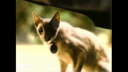 Charmed Intro~~~kill Billie . Vol.1