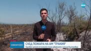 След пожара край „Тракия”: Изгорели са десетки декари лозови масиви