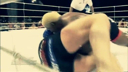 Mma-бои без правила