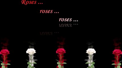 Roses ... roses ... roses ...