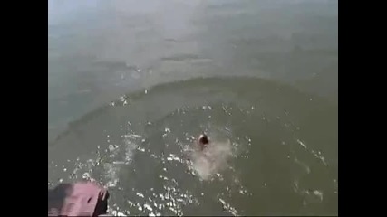 тази мацка направо се разби