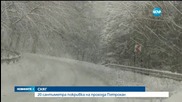 20 сантиметра сняг паднаха на прохода Петрохан