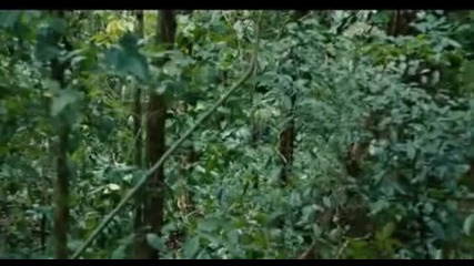 Apocalypto jaguar vrs jaguar paw