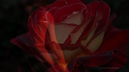 Giovanni Marradi - Maryanne's Theme(album Romantico)