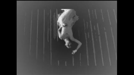 Tokio Hotel Evanescence - Going Under