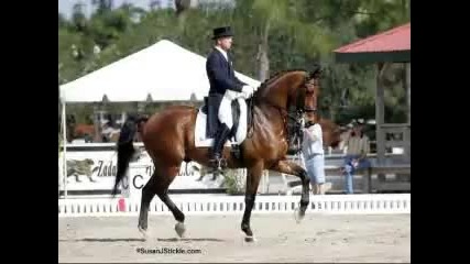 We love horses