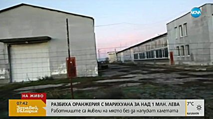 Сръбски инвеститор щял да произвежда каравани на мястото на наркооранжерията за 1 млн. лева