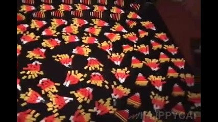Candy Corn 
