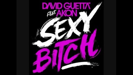 David Guetta feat. Akon - Sexy Bitch [hq] Lyrics